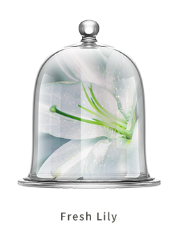 Chando Lily MINI Diffuser – Fresh Lily Fragrance 35ml