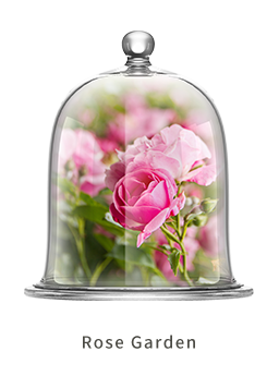 Chando Rose Garden Aroma Set