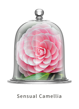 Chando Rose Gold Camellia MINI Diffuser 35ml