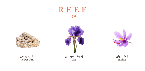 Reef 29 EDP 100ml