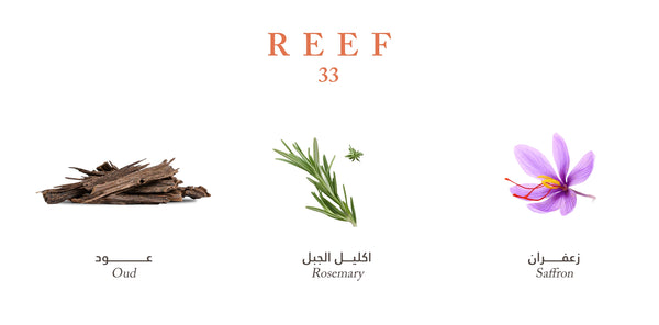 Reef 33 EDP 100ml