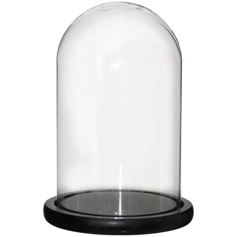 Meera glass dome with base