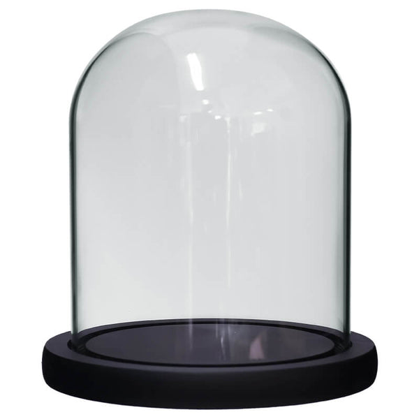 Meera glass dome with base
